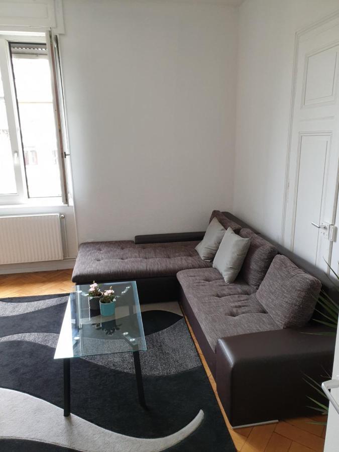 Apartamento Strasbourg Centre Le 85, Superbe F5, 125M2, 5 Pieces Exterior foto